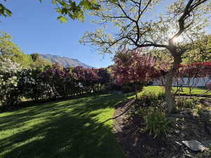 View of green lawn featuring a mountain view