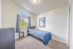 Bedroom with lofted ceiling and carpet