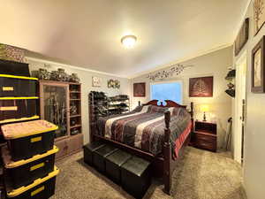 Carpeted bedroom featuring ornamental molding and vaulted ceiling