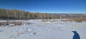 South driveway to the right of power box