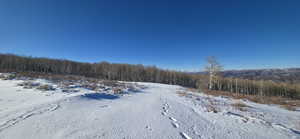 Driveway from Snowbird Drive