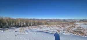 View from south circular driveway