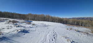 North circular driveway entrance