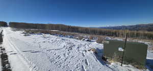 Northern survey marker with orange tagging tape