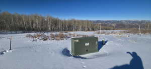 Southern survey marker with orange tagging tape. Driveway to the right of power box.