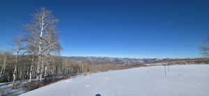 Northern Mountain views