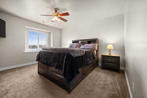 Primary suite with large window, window coverings, and queen bed.