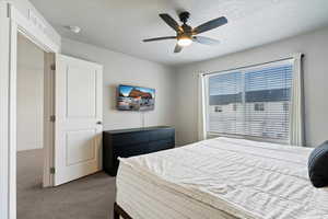 Carpeted bedroom featuring ceiling fan and a textured ceiling