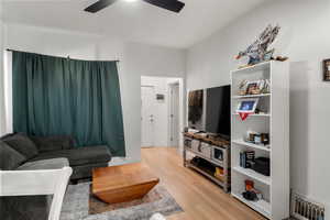 Living room featuring light wood finished floors and ceiling fan