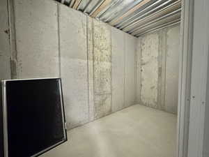 View of unfinished basement