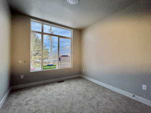Carpeted empty room with a textured wall and a textured ceiling