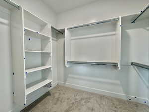 Walk in closet with light colored carpet