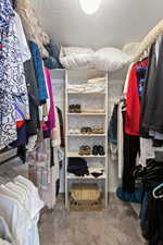 Walk in closet featuring light carpet