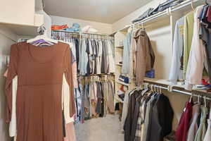 Spacious closet with light carpet