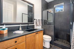 Full bathroom featuring vanity, a shower stall, and dark tile patterned floors