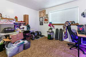 Home office featuring carpet and a textured ceiling