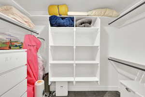 Spacious 9' x 5' closet featuring dark colored carpet