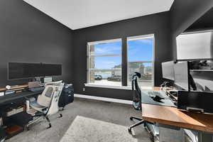 Office/bedroom featuring light carpet and baseboards