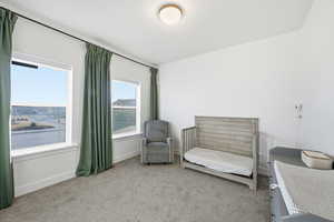 Room featuring carpet flooring and baseboards