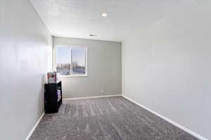 Spare room with a textured ceiling and carpet floors