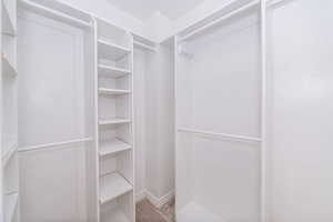Walk in closet with light colored carpet