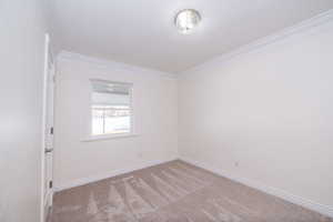 Carpeted empty room with baseboards and crown molding