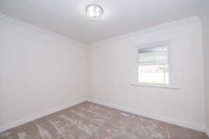 Carpeted spare room with ornamental molding