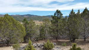 View of mountain background