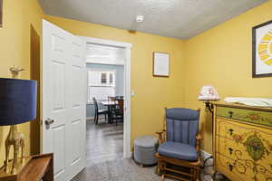 Living area with a textured ceiling and carpet flooring