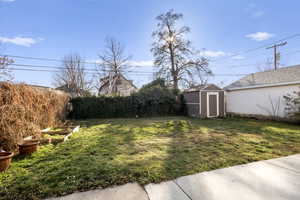 View of green lawn with a storage shed and a vegetable garden