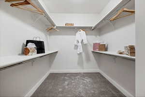 Walk in closet with light colored carpet