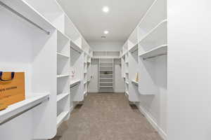 Spacious closet featuring light carpet
