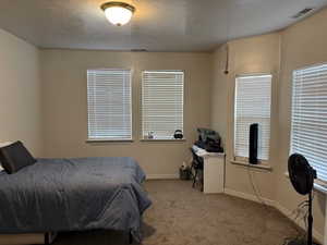 Bedroom featuring carpet and a textured ceiling