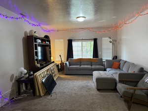 Carpeted living area with a textured ceiling
