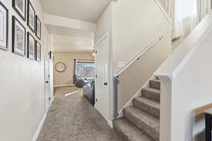 Staircase featuring carpet and ceiling fan