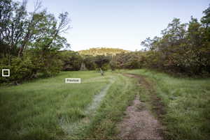 View of road featuring a wooded view
