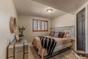 Carpeted bedroom with a textured ceiling and a closet