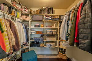 Spacious closet with dark wood-type flooring