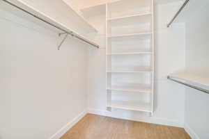 Walk in closet with light colored carpet