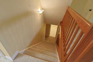 Staircase with carpet flooring