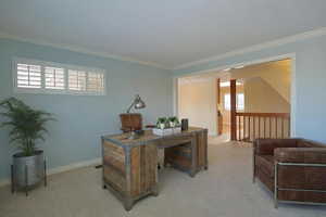 Office area with carpet flooring and ornamental molding