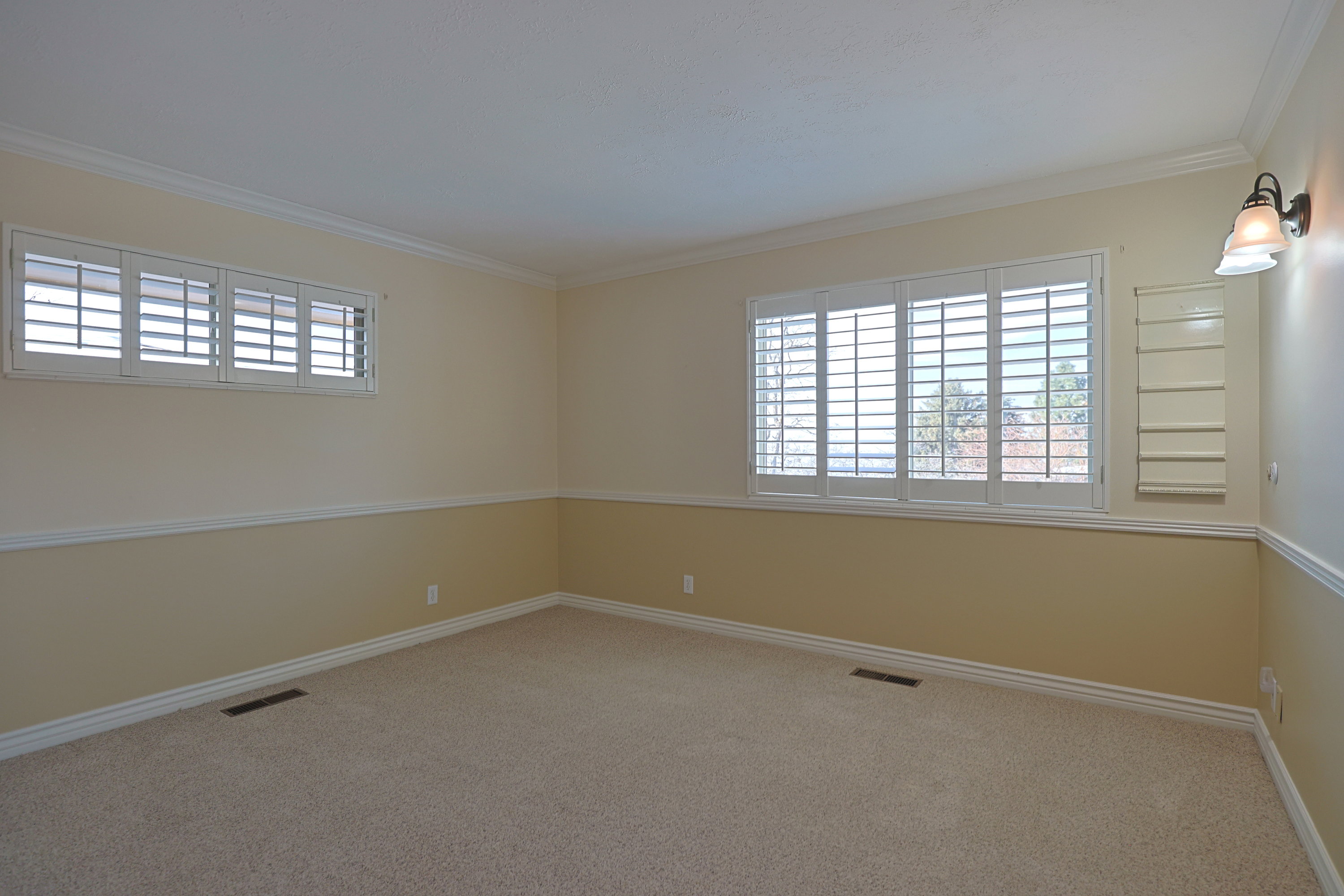 Unfurnished room featuring carpet floors, healthy amount of natural light, and crown molding