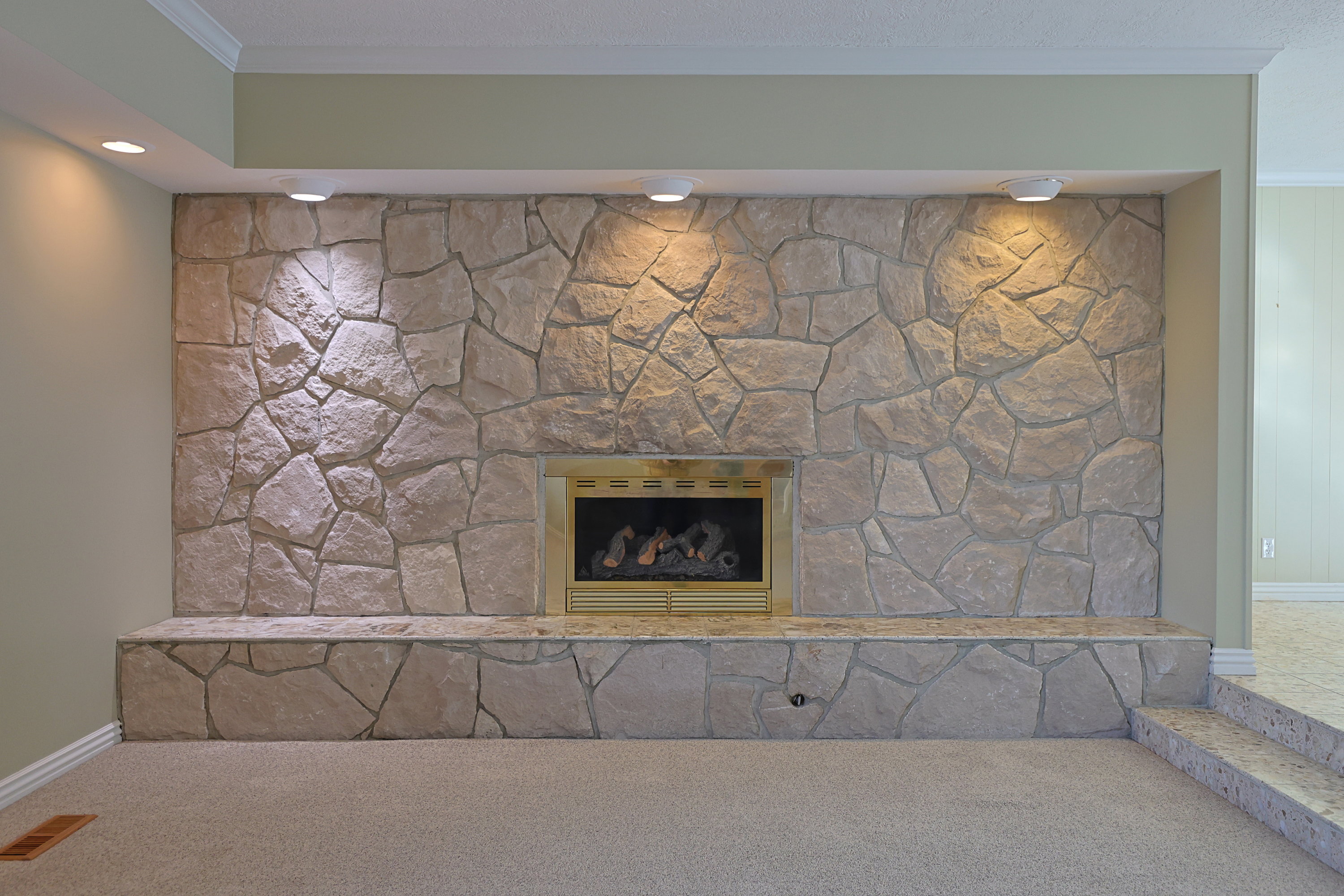 Detailed view of crown molding, carpet, and a fireplace