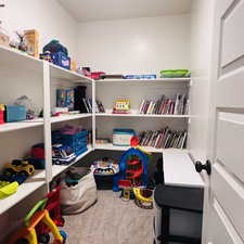 Rec room featuring light colored carpet