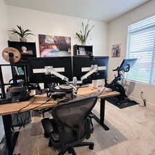 Carpeted home office with baseboards