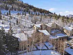 Snowy aerial view with a mountain view and view of wooded area