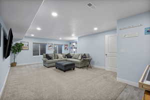 Lower level family room