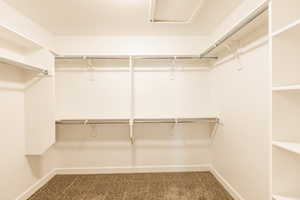 Large Primary walk in closet featuring carpet floors