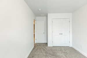 Bedroom featuring carpet floors and a closet