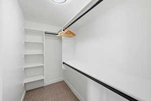 Spacious closet with dark colored carpet